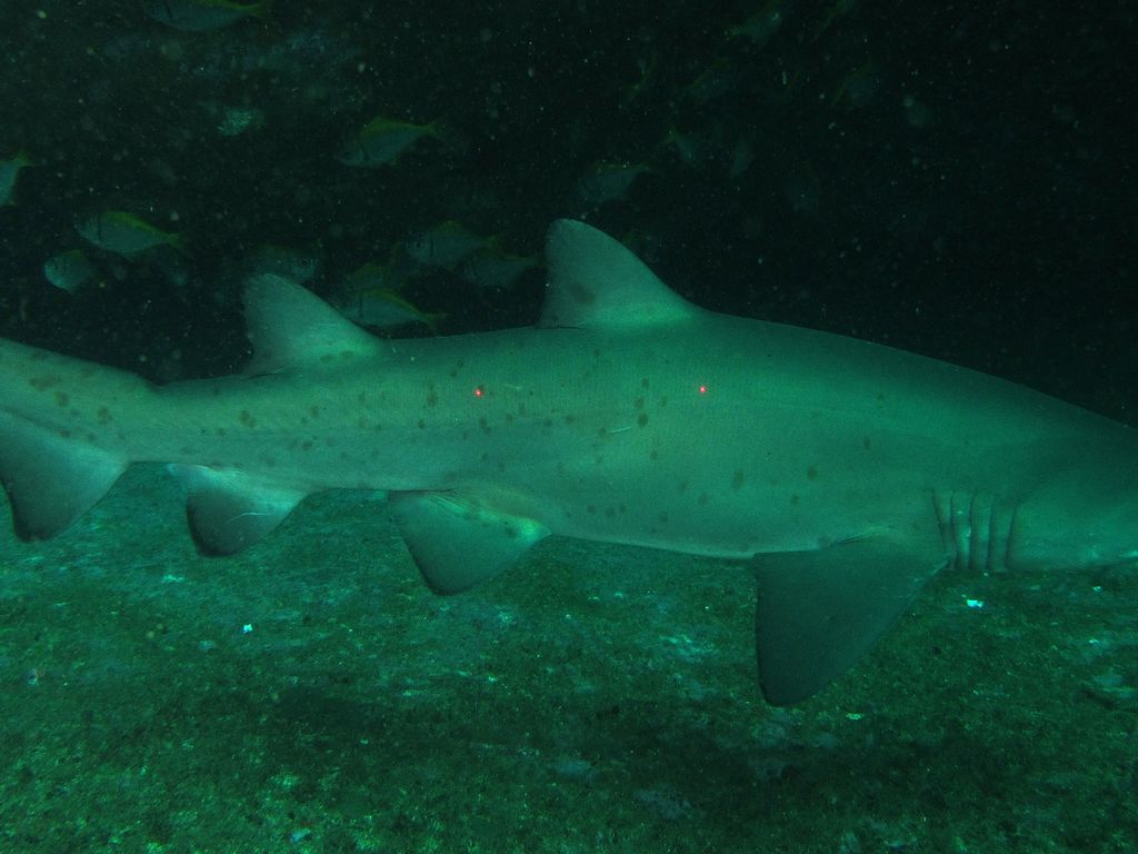 f3397d83-0256-49be-96ec-cc5d5fbf79b7