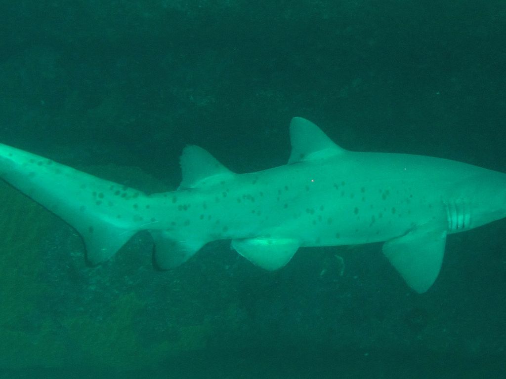 099d4efc-261a-4114-8bad-f54544406047