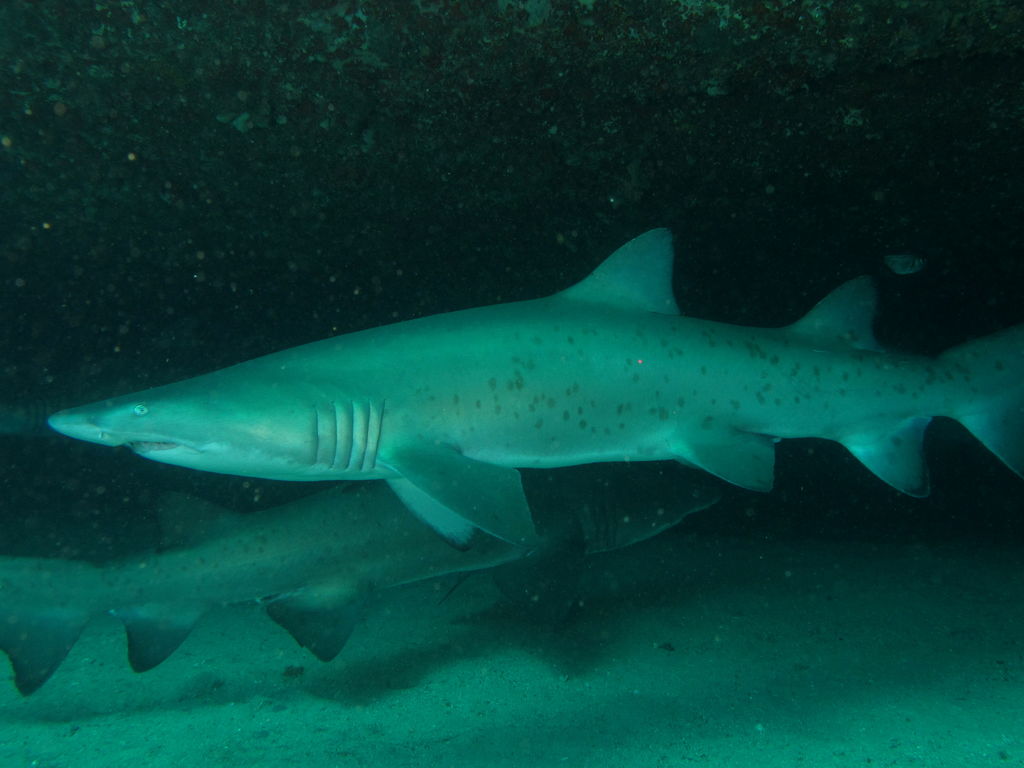 901d0529-cfaf-4583-bf29-03e7ad3fa1c0