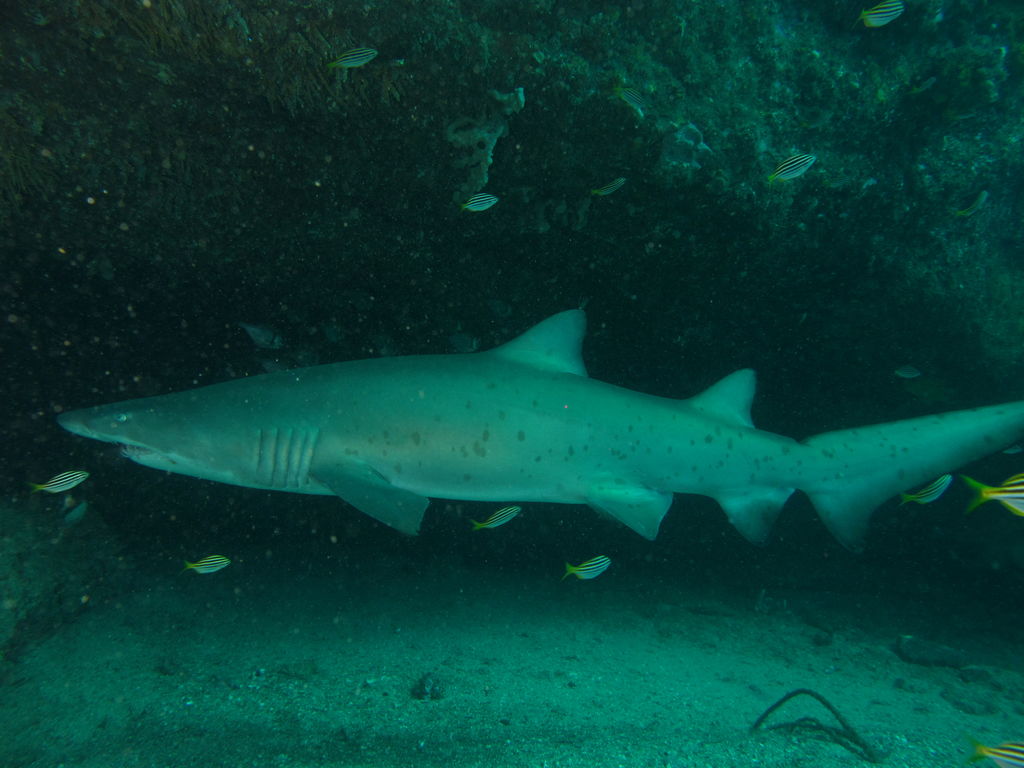 bb13d263-0503-4d6b-a1f7-dde2da0ee295