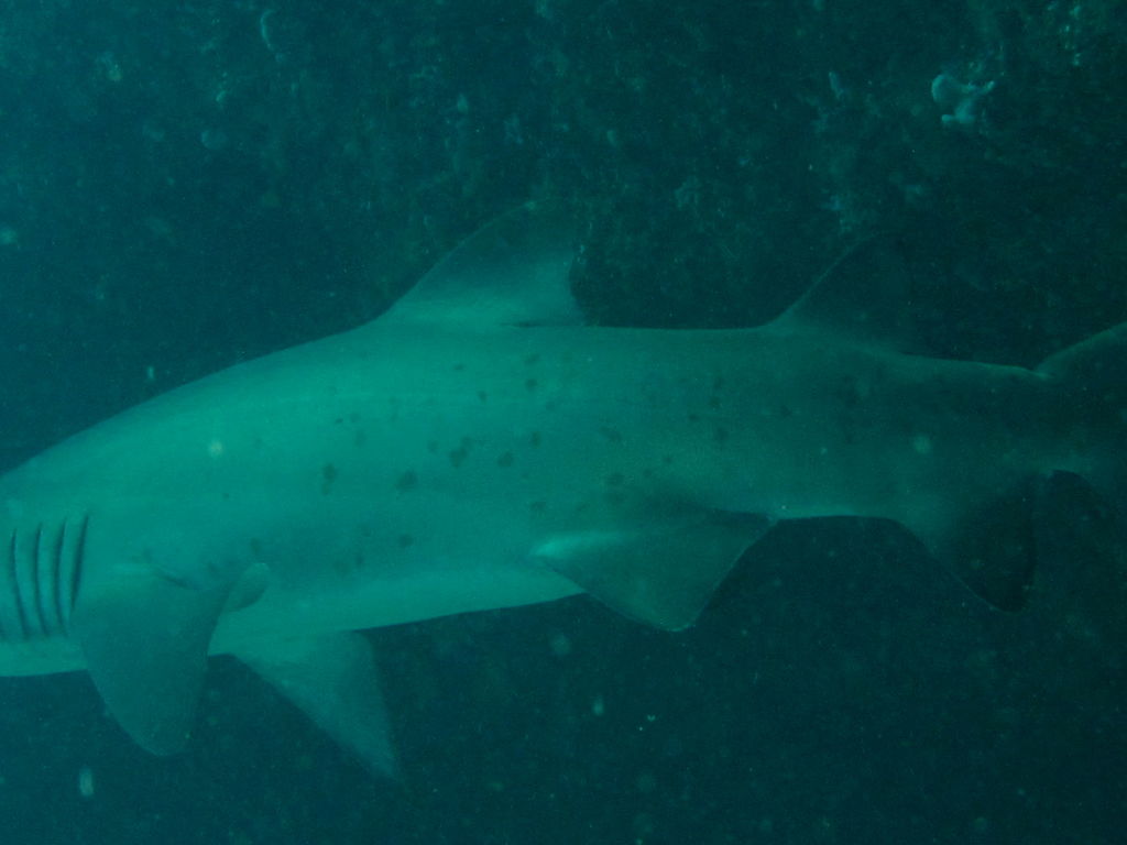 232c8b95-3a5a-44d6-b82a-b880881cbab1