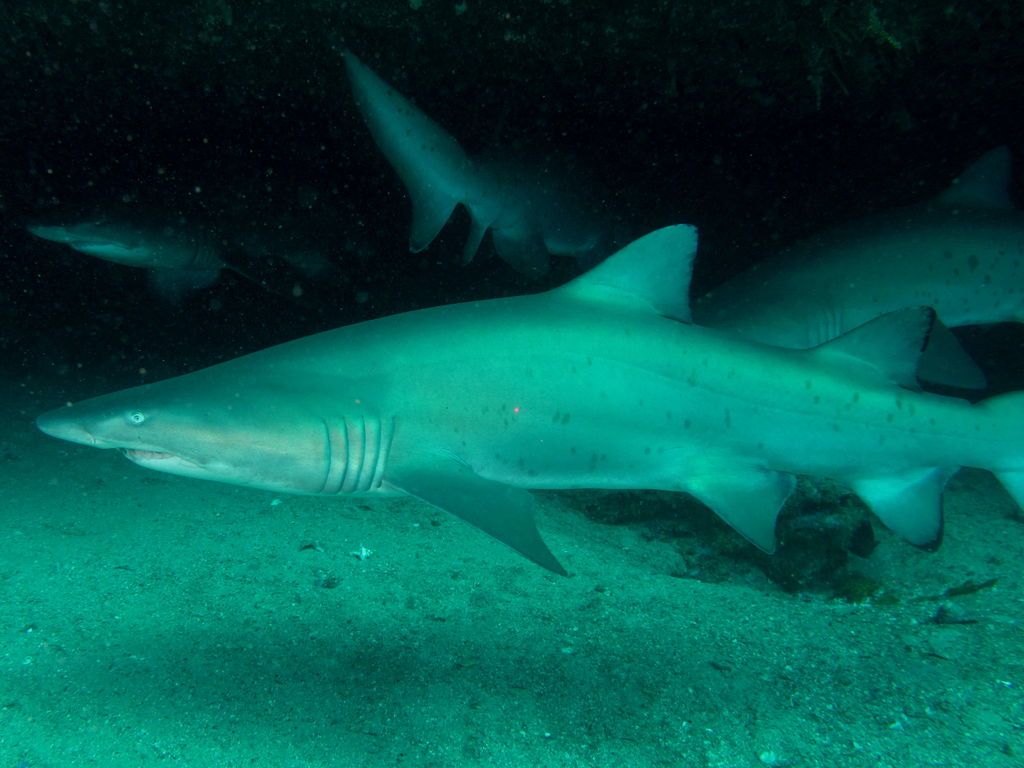 3abe5446-1416-4ba5-9bee-83dadeed9021