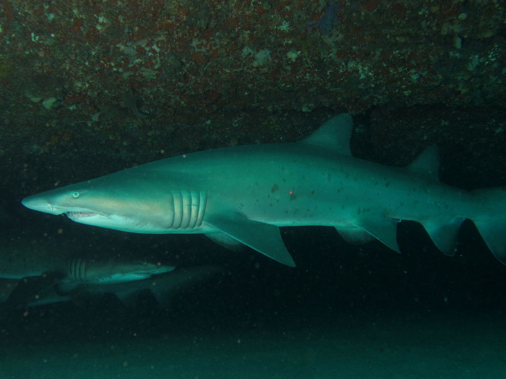 a687afec-5851-4101-a725-be1e4b2e640c