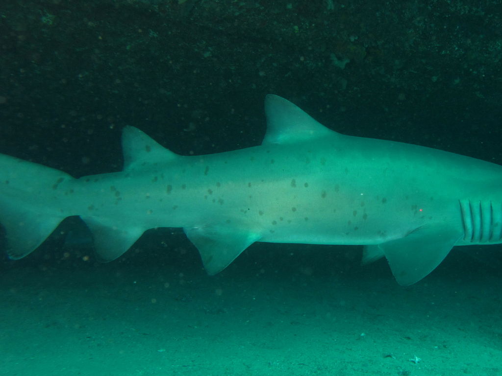 78daf496-5398-4bae-ad42-d124b02dd06e