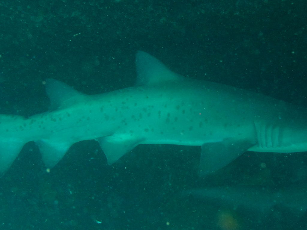 f1e16c80-17f4-4747-b88b-d9cc09d379ec