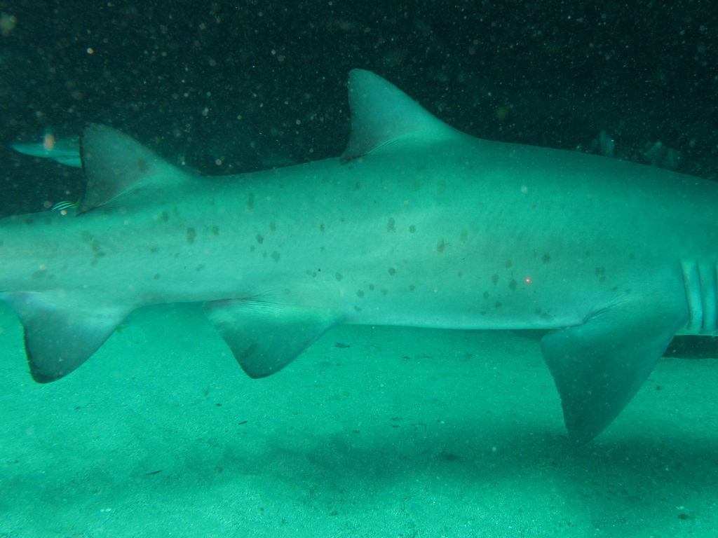 78daf496-5398-4bae-ad42-d124b02dd06e