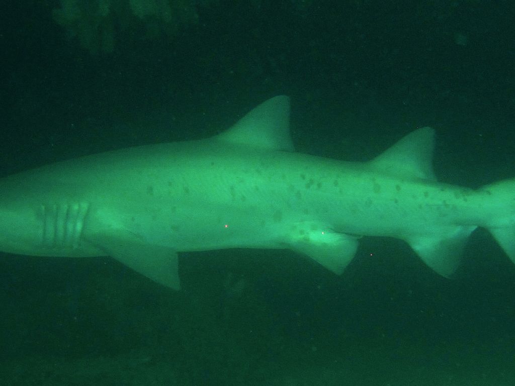 4808ccba-5029-4fdc-9e12-77b33c6268d9