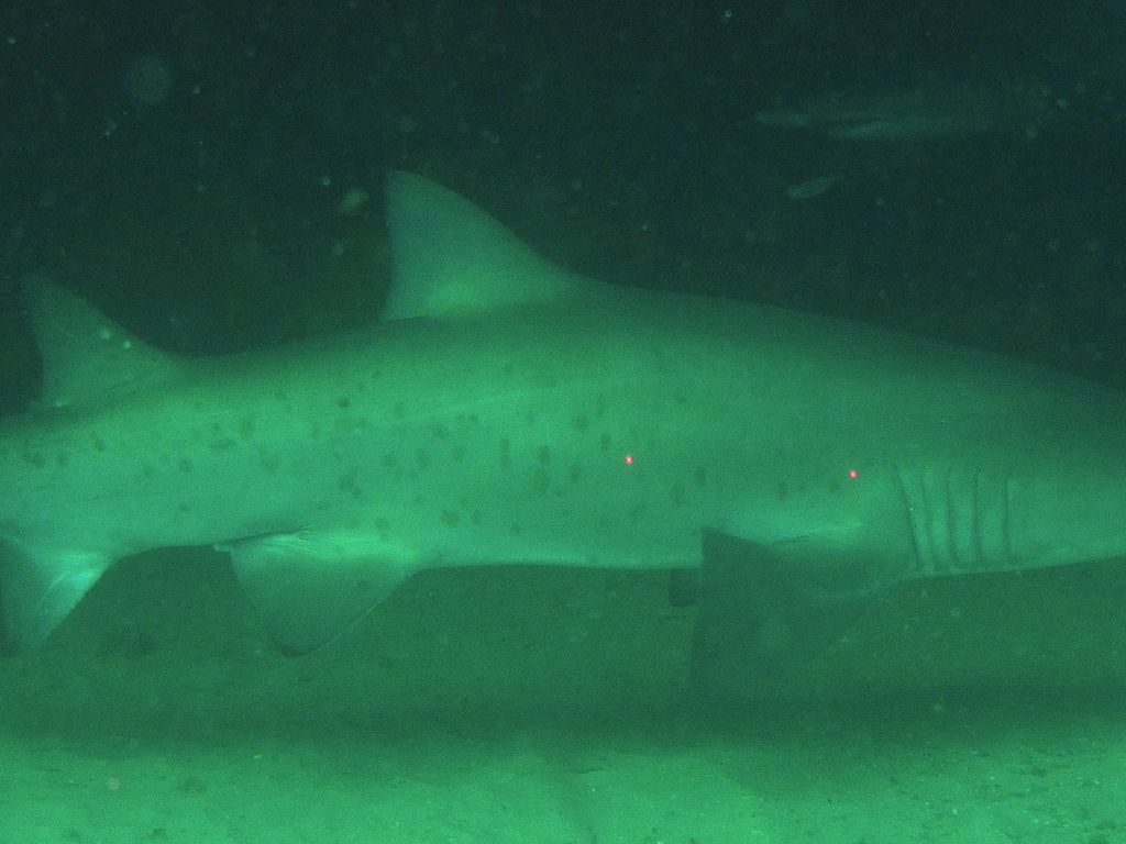 f1e16c80-17f4-4747-b88b-d9cc09d379ec