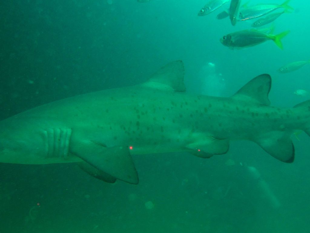 0a07e9c8-a8a0-494f-93fb-fa3fb14bafe7