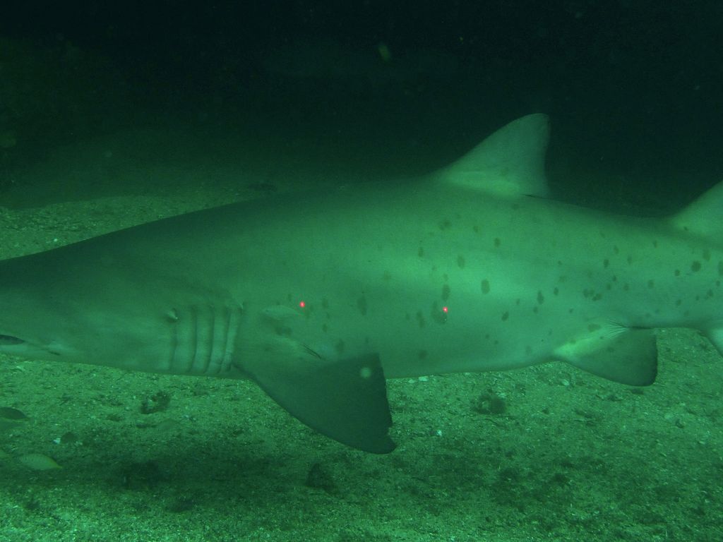 bb13d263-0503-4d6b-a1f7-dde2da0ee295