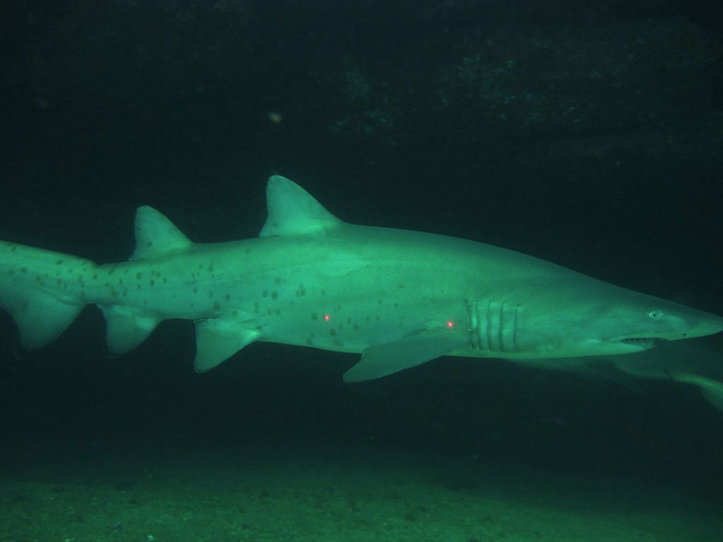 c3987c2b-a1d6-4735-9b1f-5d36d600eb6f