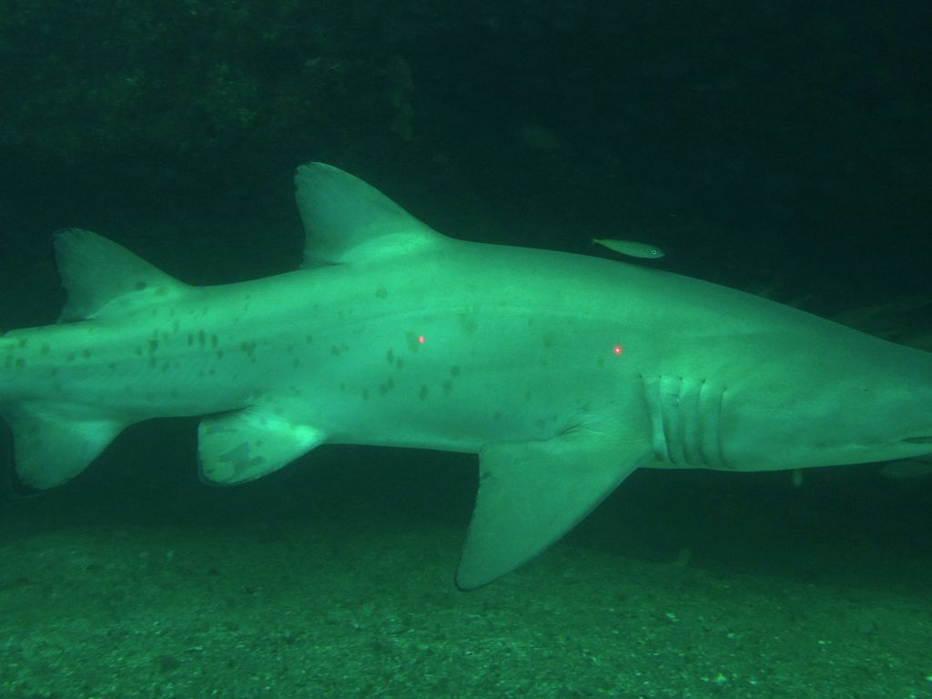 130e1092-31e7-4be6-9dbf-bae35f55abf4