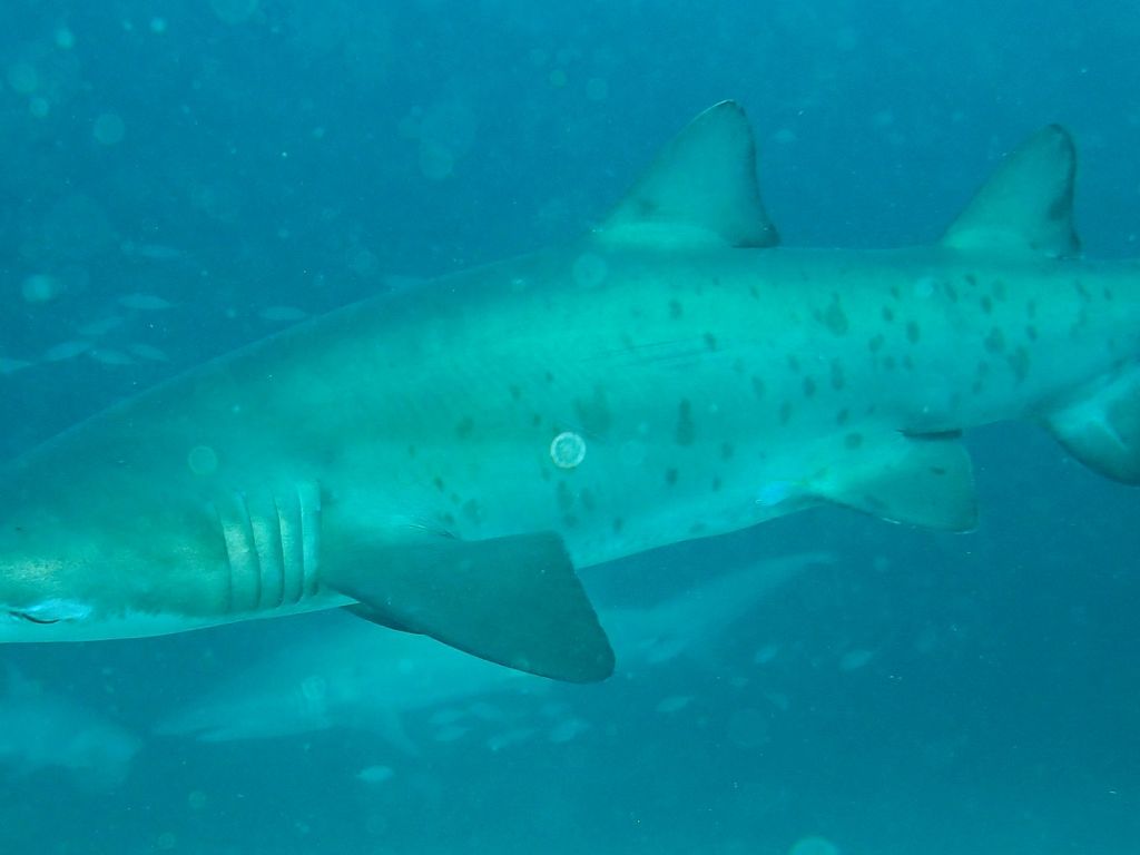 e4afcd61-792a-4bef-b5c8-0975870f0676