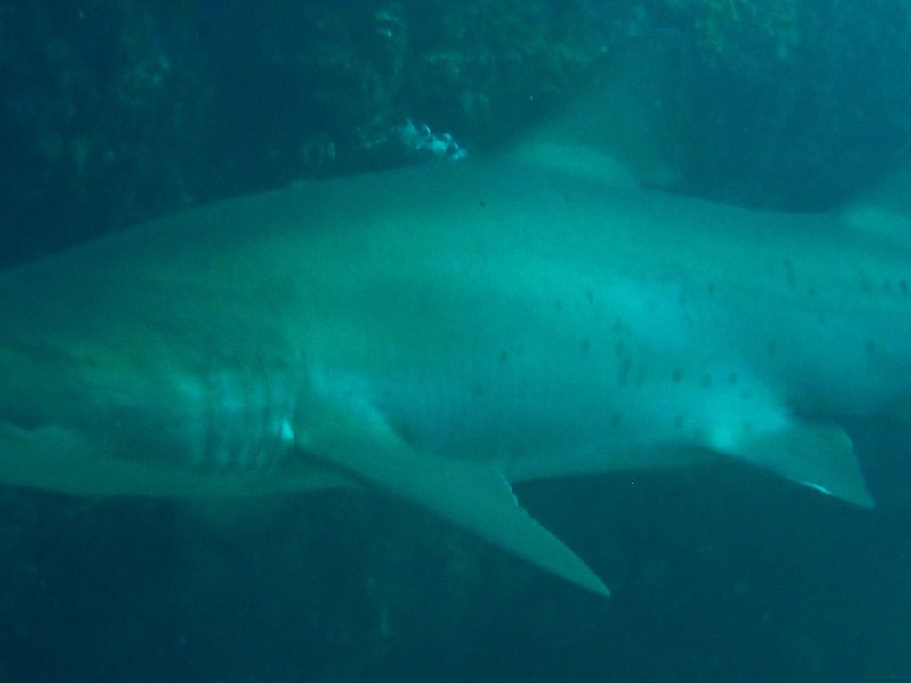 51969bcc-11e6-4e5a-a9cc-73e7e6afacdd