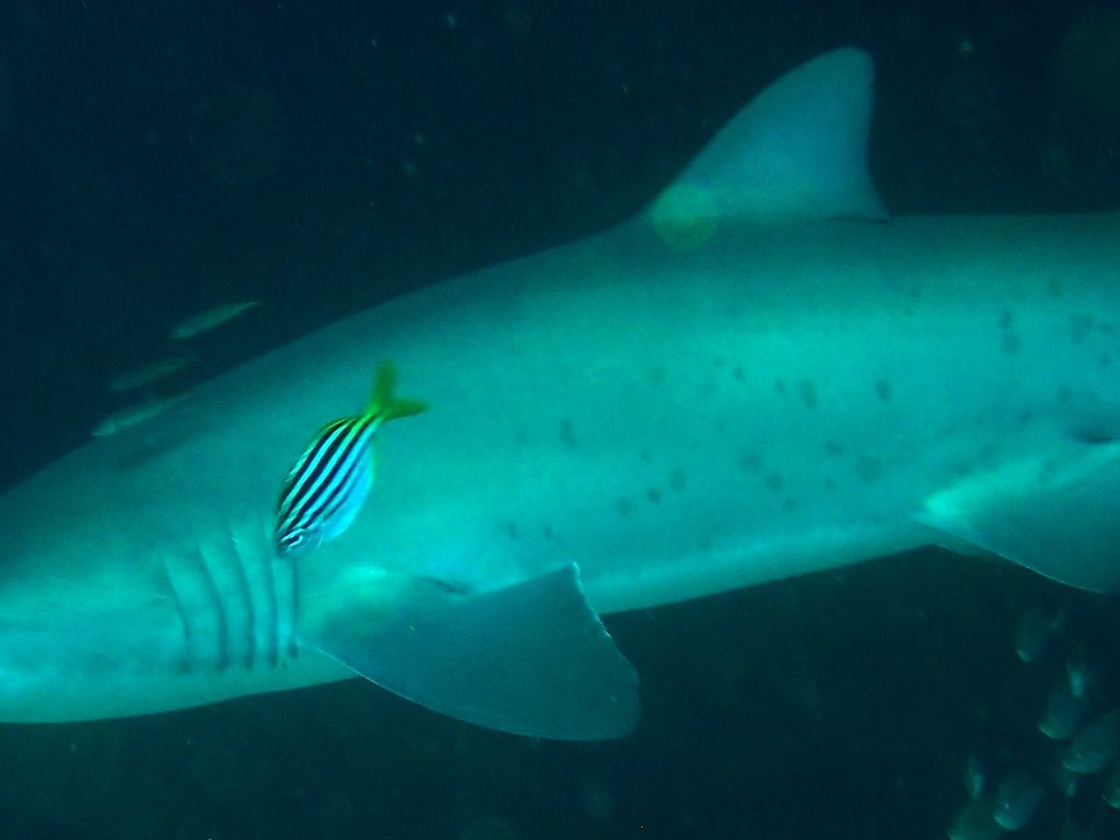 8ac55cd9-2477-41ba-bd10-320a83500efa