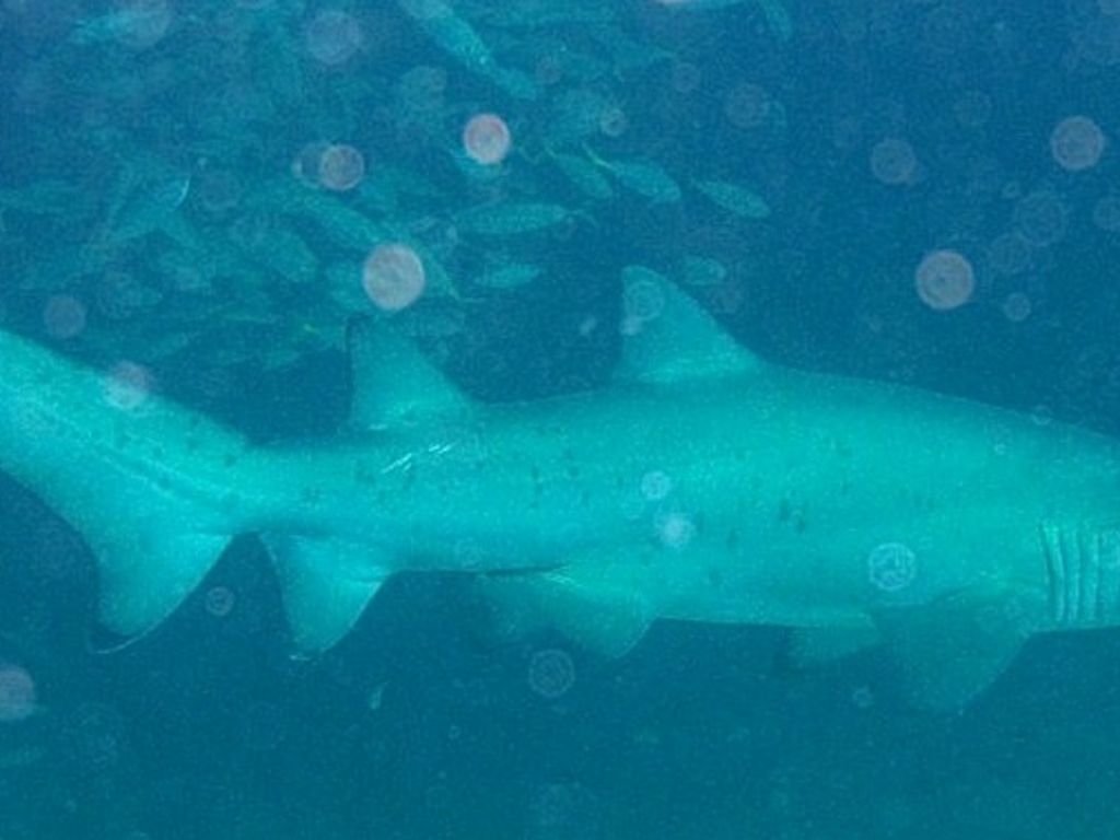 17bcdd5b-f734-46ed-802b-2498ab665a5d