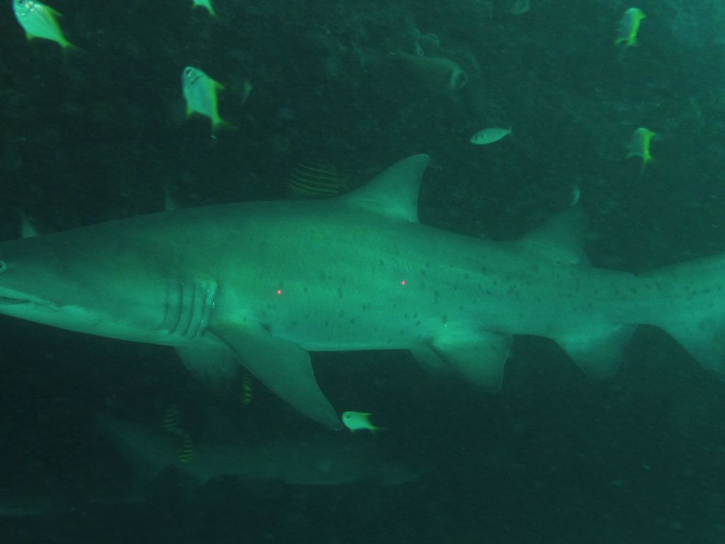 d4e51d12-d477-491a-8153-c43c7349cf5d