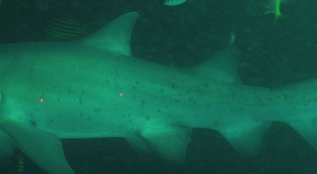 d4e51d12-d477-491a-8153-c43c7349cf5d