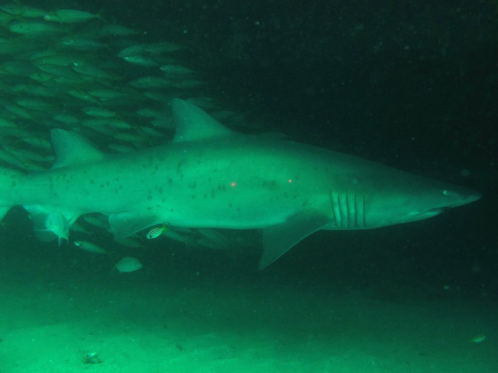 2eedc3f3-fc55-4c5d-9ec1-366b596368d5