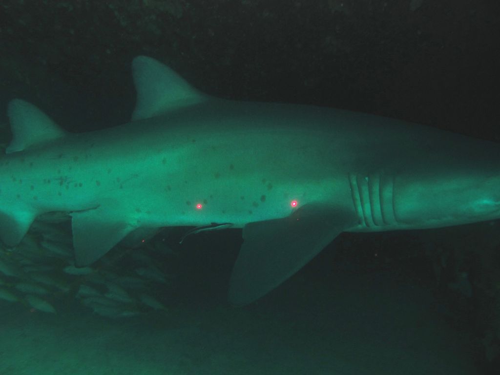 3d4a659b-66ae-4d73-b9bf-4a0c3b753f03