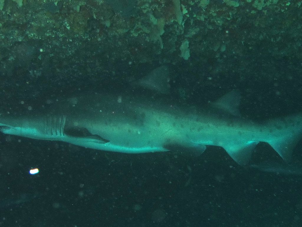 19e7962d-a46c-4d92-902f-8f91b282253b