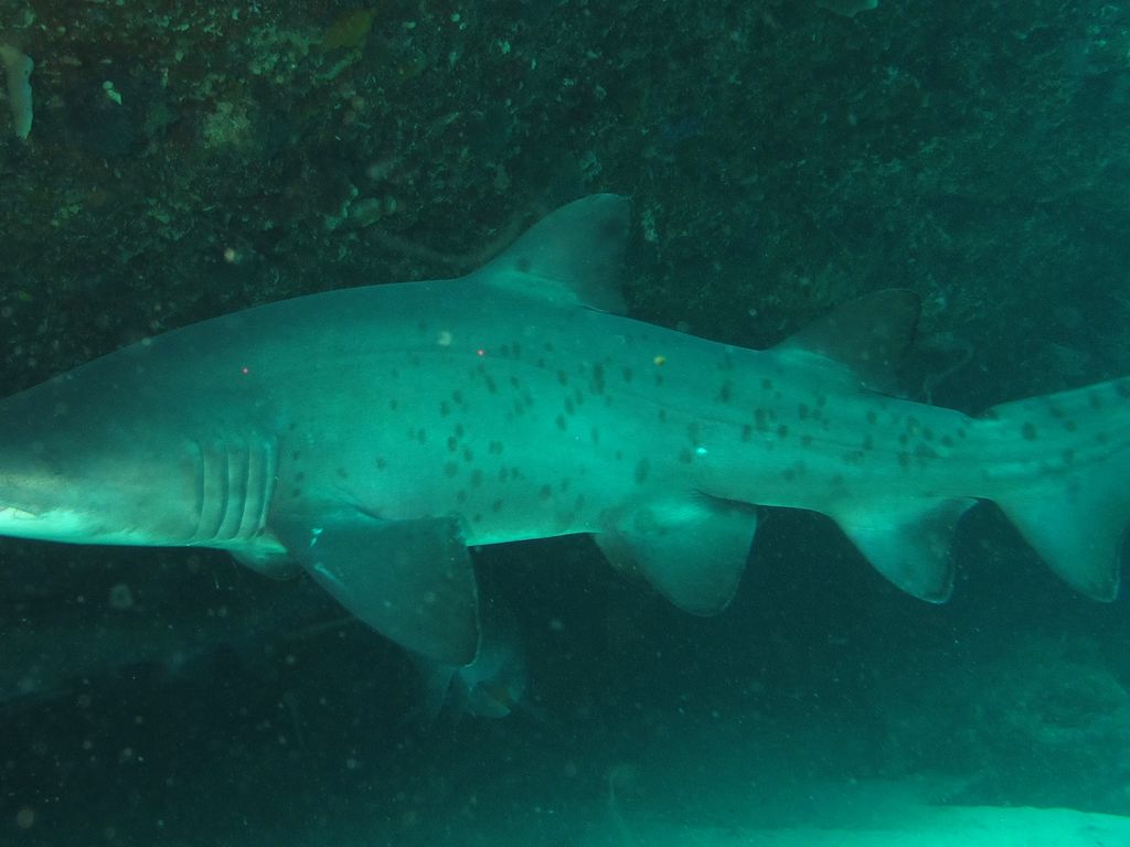 5b0dda84-09e2-49fa-8ed4-b97d08371f75