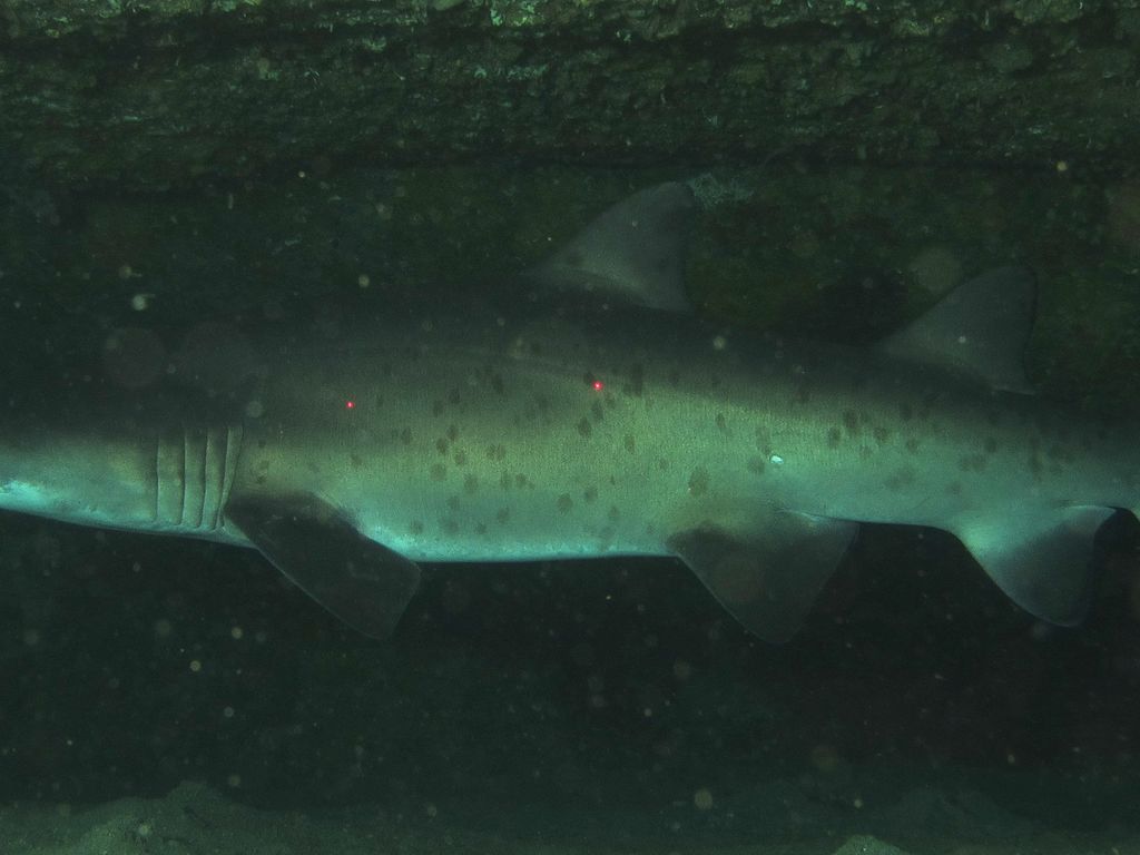 5b0dda84-09e2-49fa-8ed4-b97d08371f75