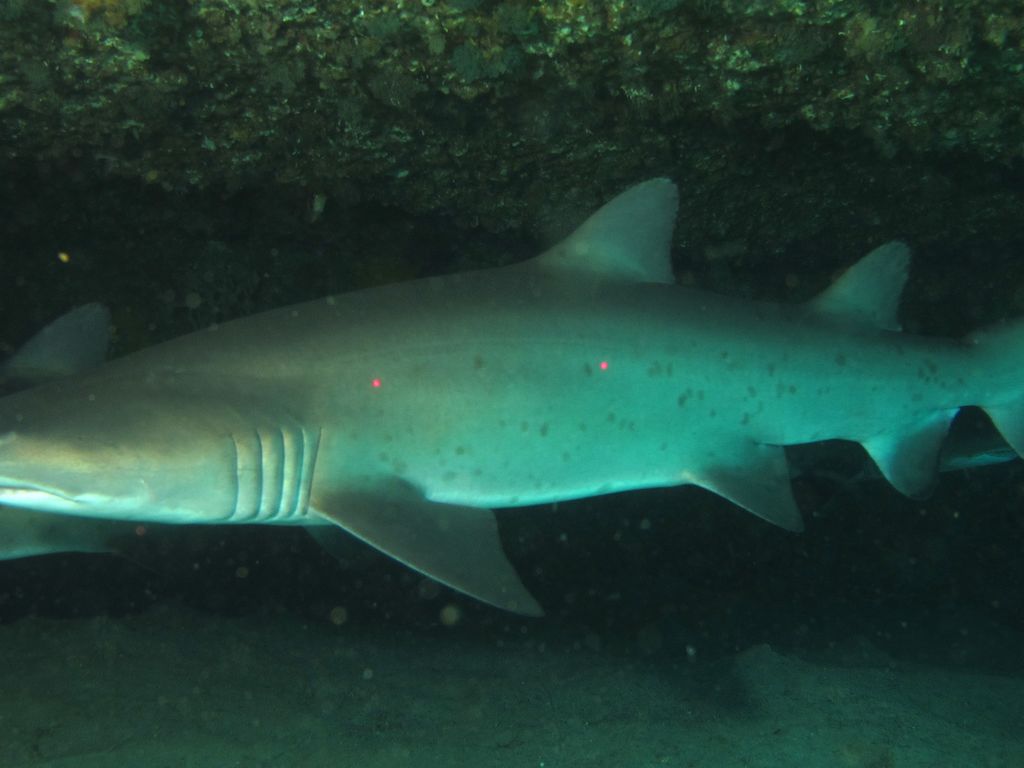 6106e937-07aa-44cc-89ab-bf498db3b768