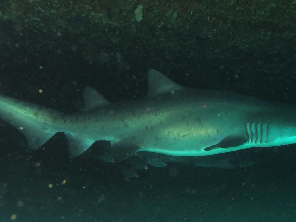 5ffe65ef-bcad-41c6-aa04-f41ce2a5efae