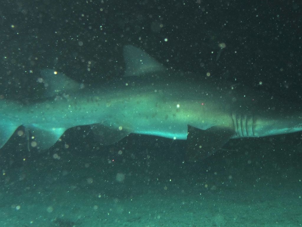 130e1092-31e7-4be6-9dbf-bae35f55abf4