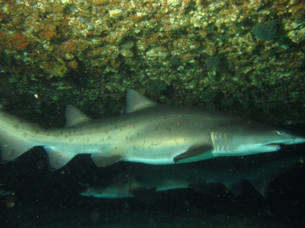 5ffe65ef-bcad-41c6-aa04-f41ce2a5efae