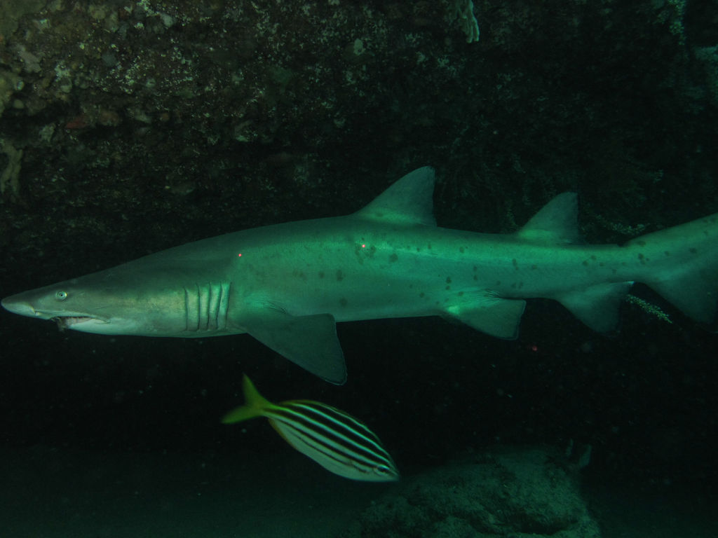 ffe7e9d0-5651-432f-b01b-20660c88cec8