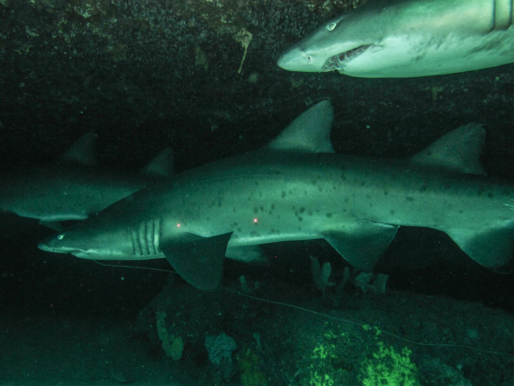 8dfa06ee-6b8f-456b-8f33-d46c07b212ae