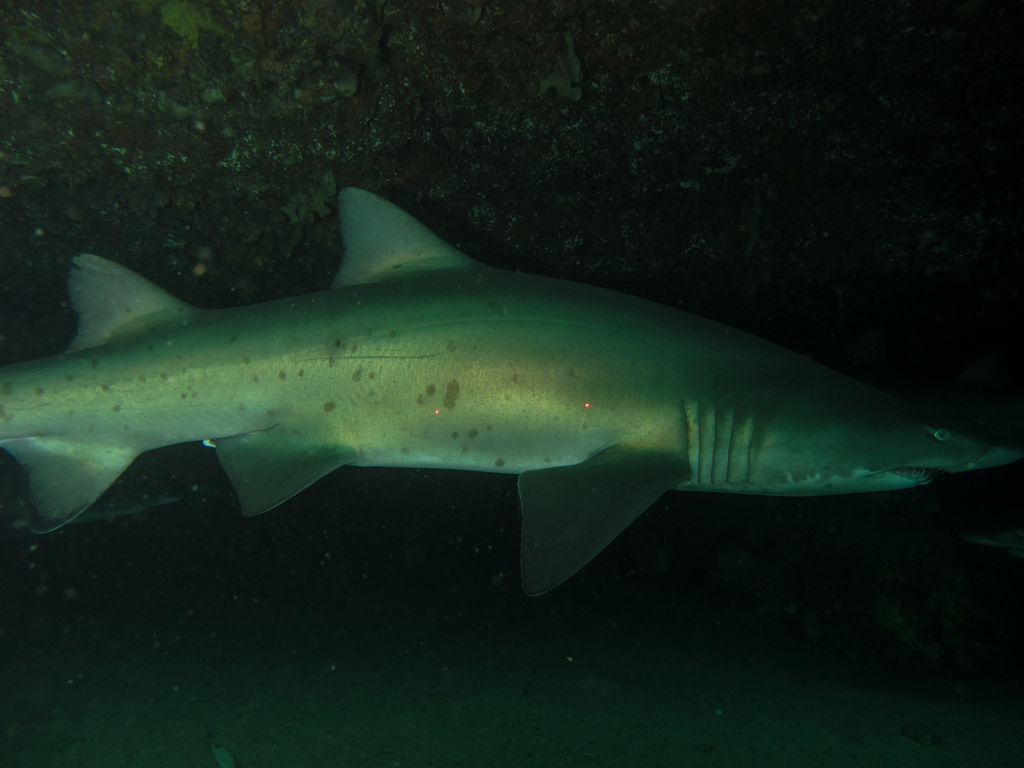 33603e97-c9f9-46f8-ba88-87e3f5c26b26