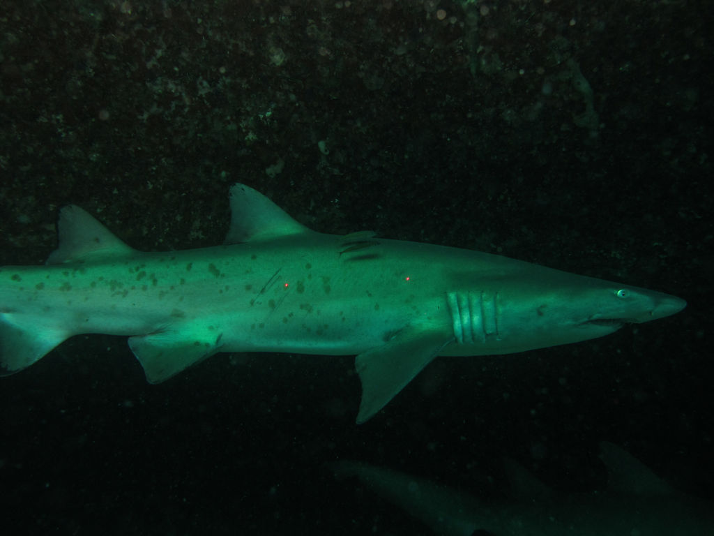 ecd3ac04-5426-44a0-b396-de906786621f