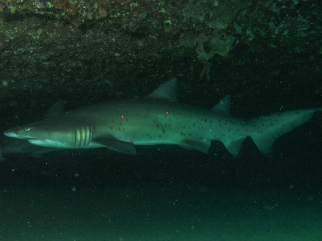 e01fc33c-c7b6-4f95-b517-ee496d1c6522