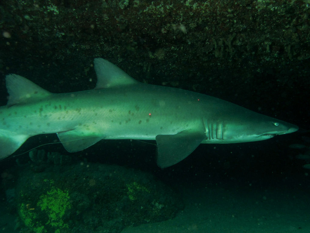 130e1092-31e7-4be6-9dbf-bae35f55abf4