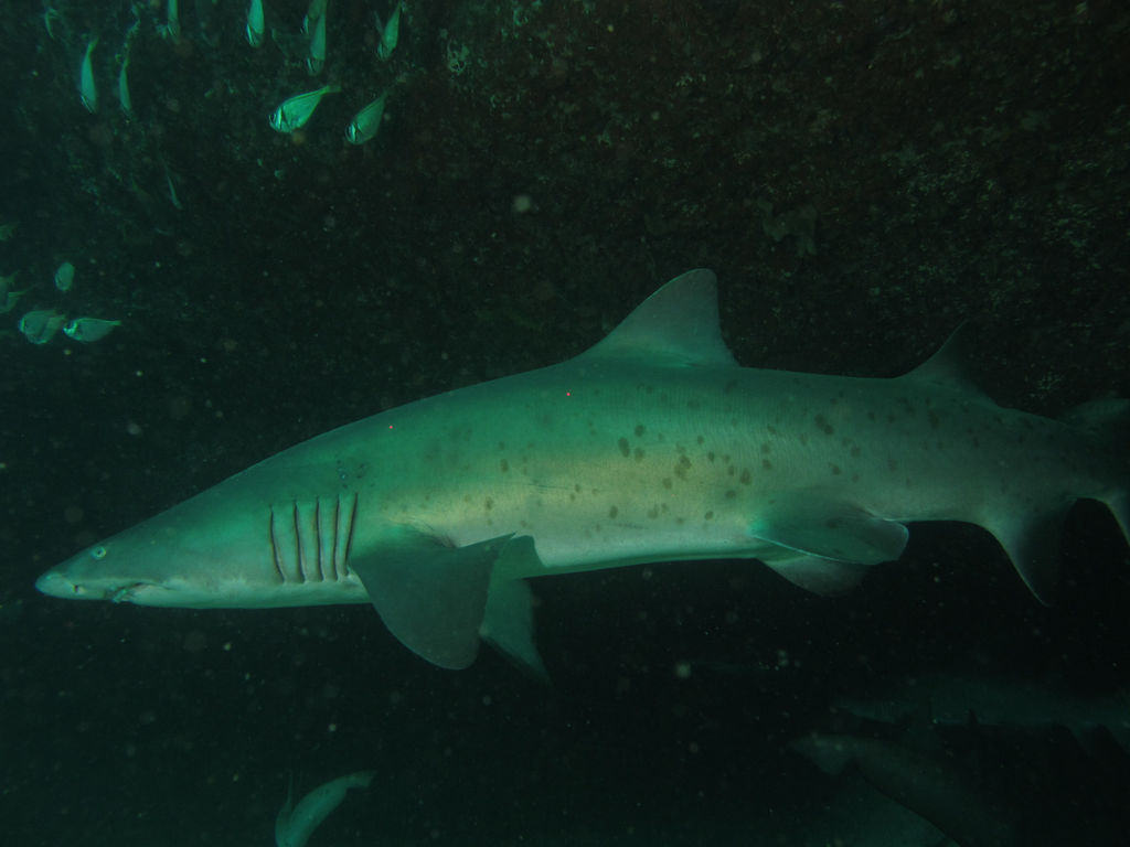 6e110d14-8300-41c7-a309-a082f8ad0b42