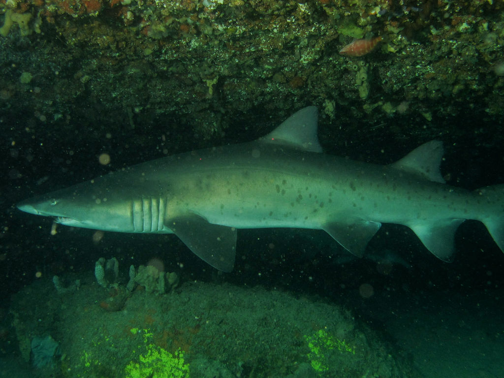 6e110d14-8300-41c7-a309-a082f8ad0b42