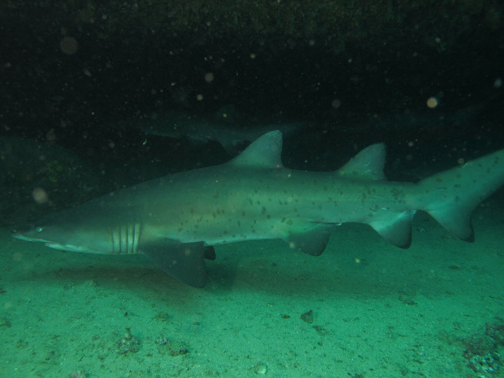 cfbcc5e4-c24a-4521-afb5-b13dc0074cd3