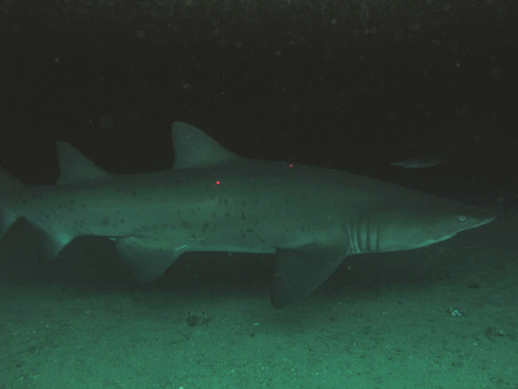 779bc71d-bfcb-4e01-8084-0d92451f4195