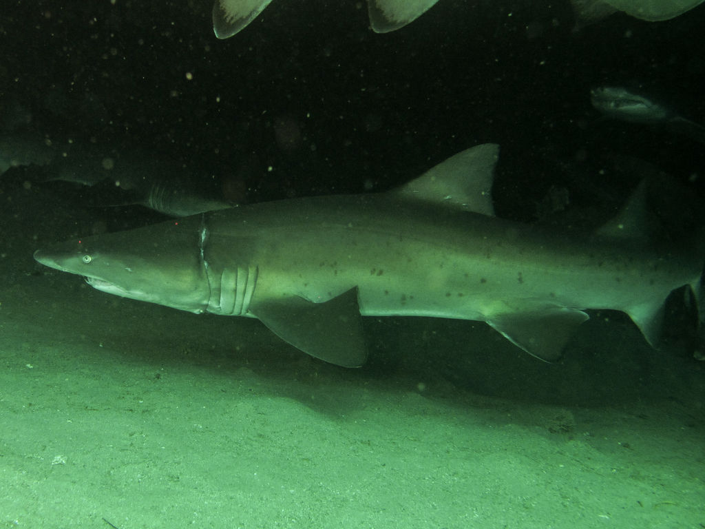 3abe5446-1416-4ba5-9bee-83dadeed9021