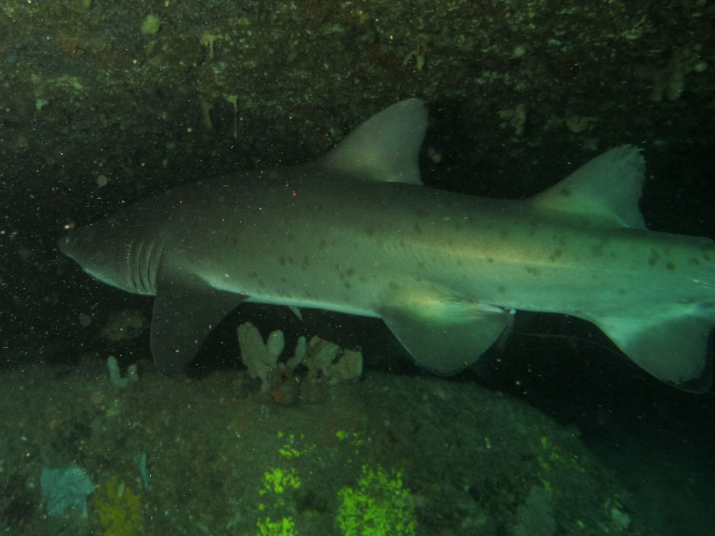 8dfa06ee-6b8f-456b-8f33-d46c07b212ae