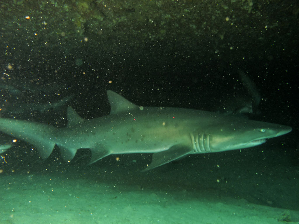 130e1092-31e7-4be6-9dbf-bae35f55abf4