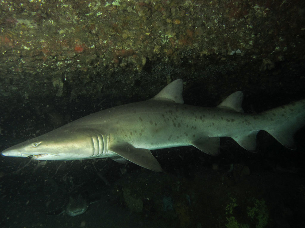 df44371a-af51-4031-b53b-9360417ea6d9