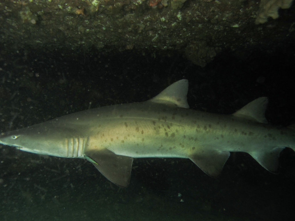 df44371a-af51-4031-b53b-9360417ea6d9