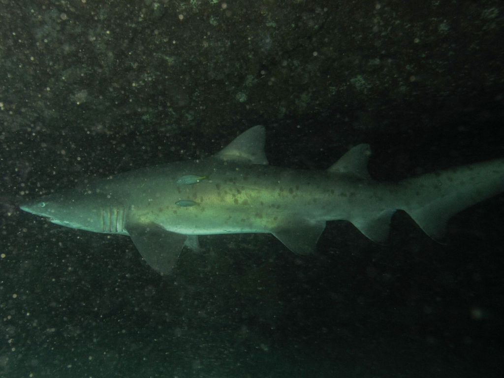 df44371a-af51-4031-b53b-9360417ea6d9