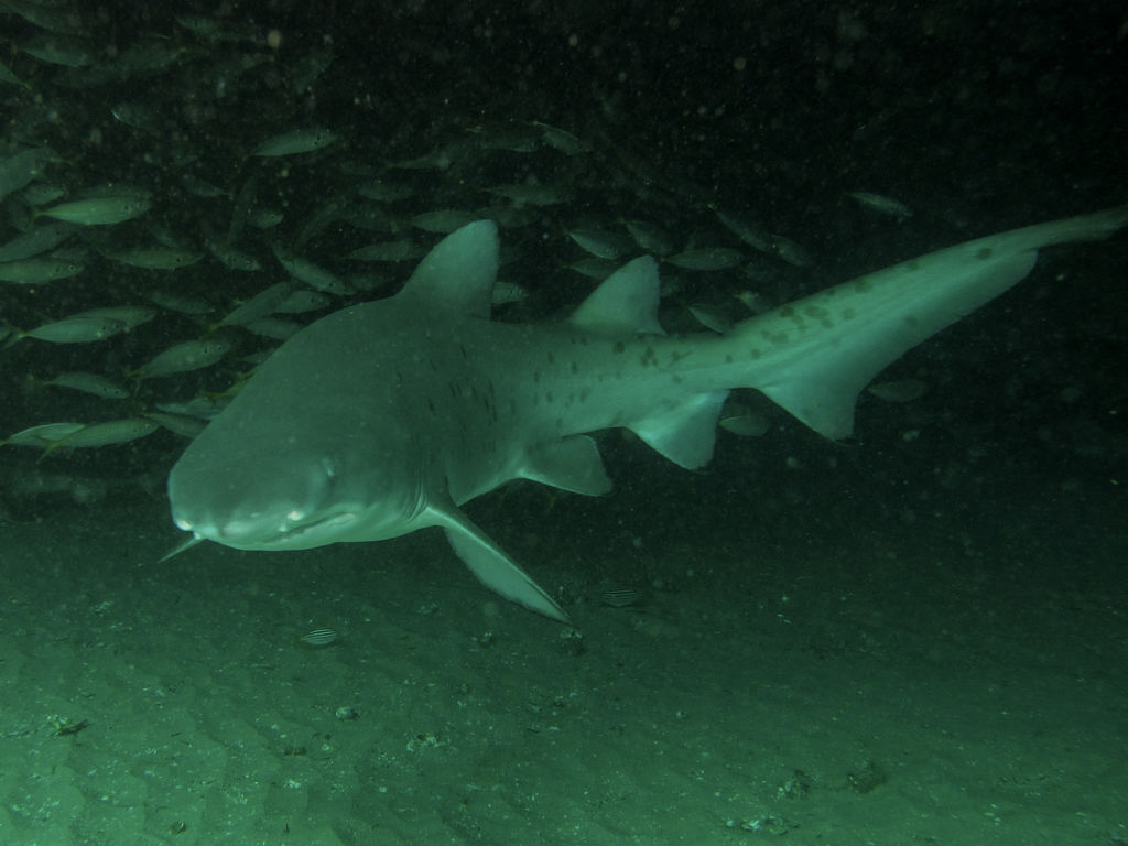 19e7962d-a46c-4d92-902f-8f91b282253b