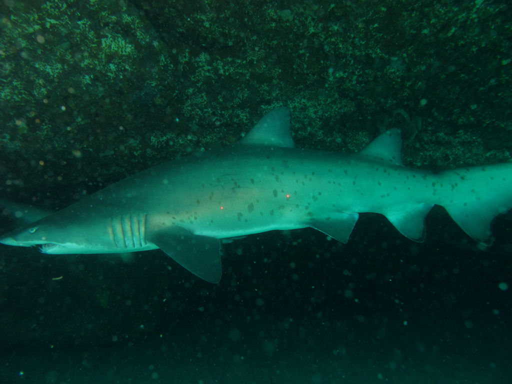 57a78ca3-0767-4901-af06-e6436da282f8