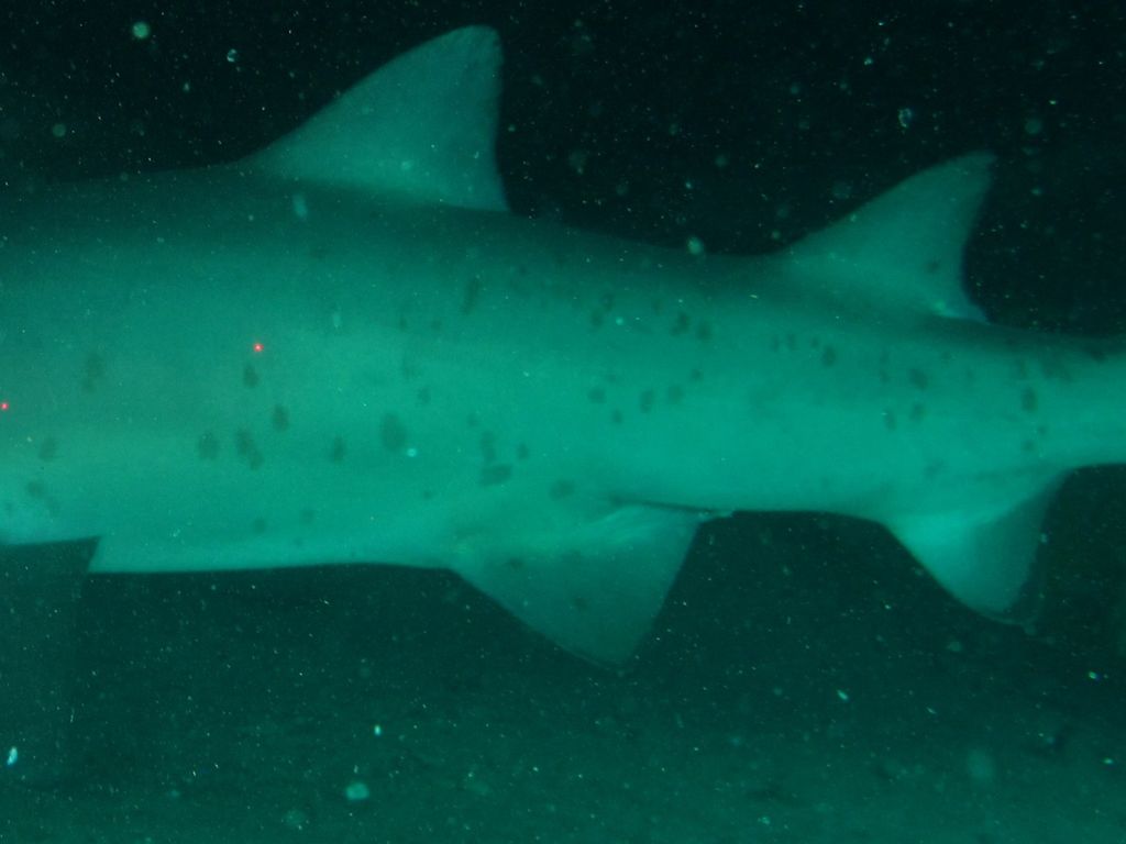 f2b1f74b-1e2b-46e7-b100-041feb99d75a